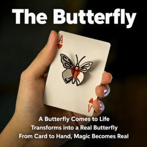 The Butterfly